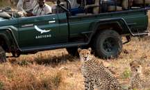 Phinda Private Game Reserve- Game Drives