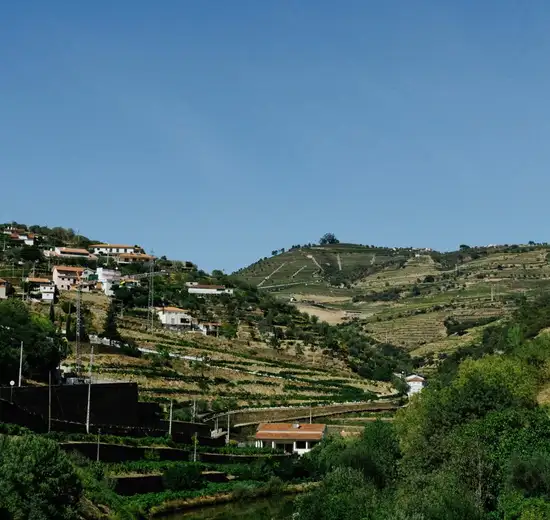 Image related to Regua, Portugal
