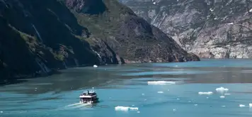 Image related to Image related to Take a Boat Tour