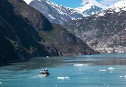 IgluCruise.Application.ViewModels.Shared.WebImageViewModel?.Description