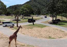 IgluCruise.Application.ViewModels.Shared.WebImageViewModel?.Description