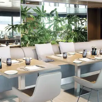 Image related to Emerald Azzurra