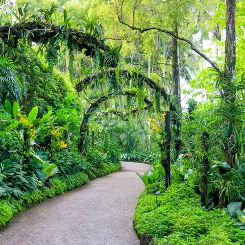 Image related to Singapore Botanic Gardens