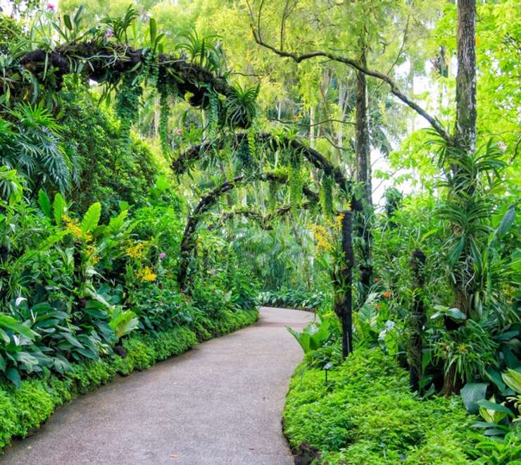 Singapore Botanic Gardens