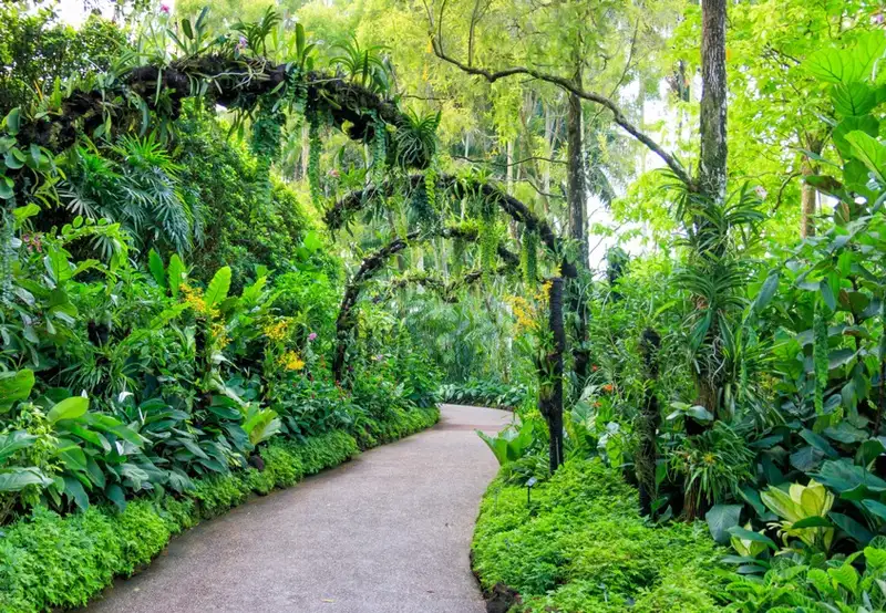 Image related to Singapore Botanic Gardens