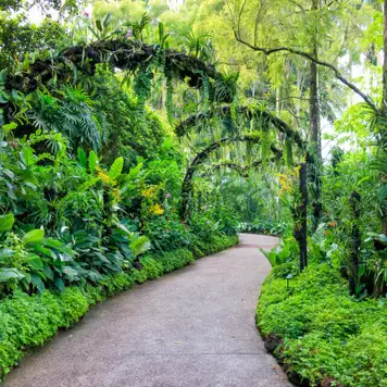 Image related to Singapore Botanic Gardens