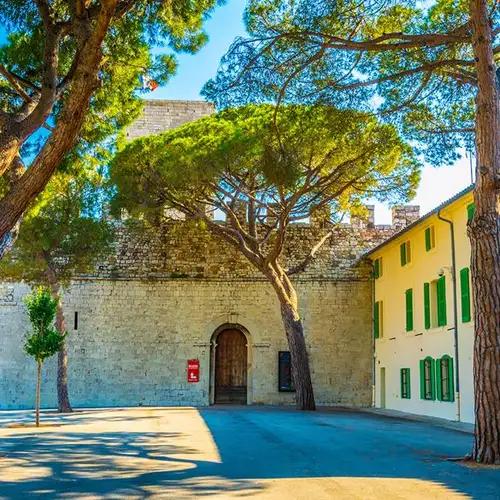 Image related to Musee de la Castre