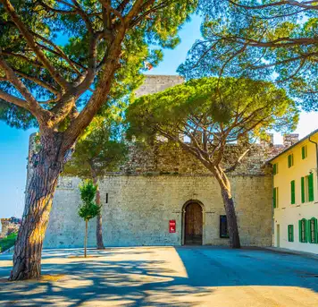 Image related to Musee de la Castre