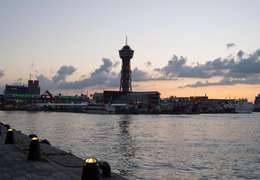 IgluCruise.Application.ViewModels.Shared.WebImageViewModel?.Description