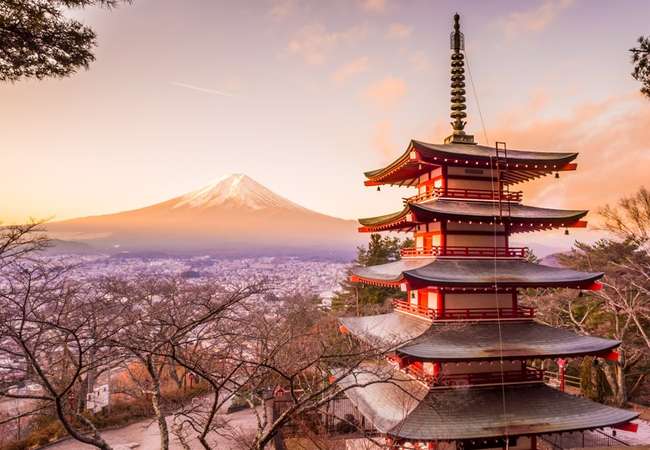 Kawaguchi - Views of Mt. Fuji Tour