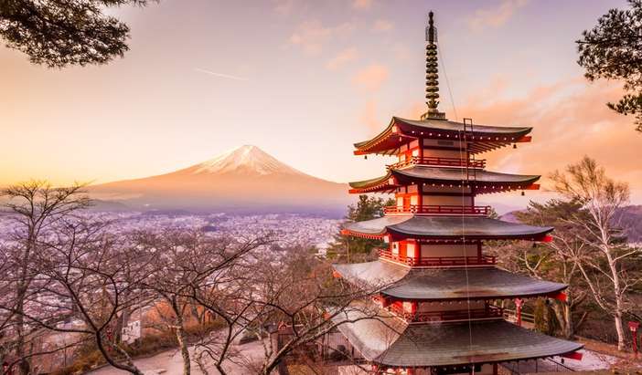 Kawaguchi - Views of Mt. Fuji Tour