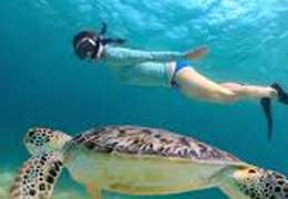 IgluCruise.Application.ViewModels.Shared.WebImageViewModel?.Description