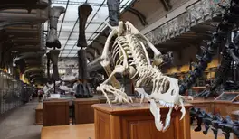 Image related to Musuem 