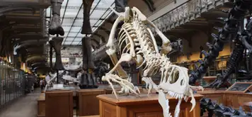 Image related to Musuem 