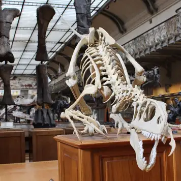 Image related to Musuem 