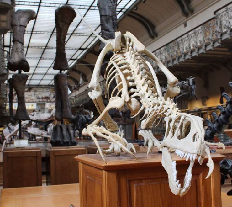 Musuem 