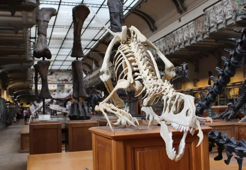 Musuem 