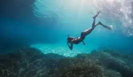 Image related to Scuba Diving