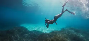 Image related to Scuba Diving