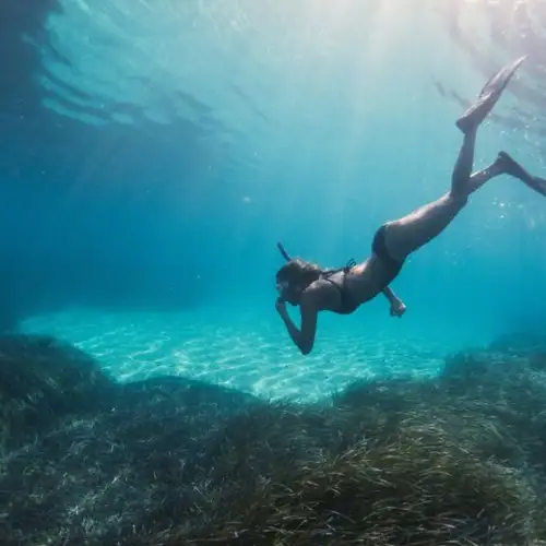Image related to Scuba Diving