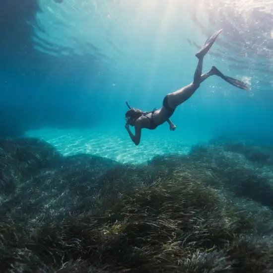 Image related to Image related to Scuba Diving