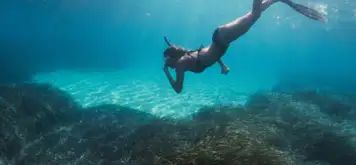 Image related to Image related to Scuba Diving