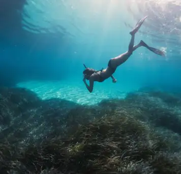 Image related to Scuba Diving