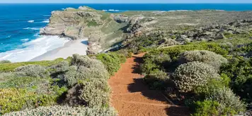 Image related to Cape Town - Cape Peninsula tour