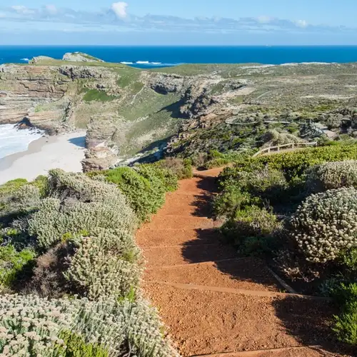 Image related to Cape Town - Cape Peninsula tour