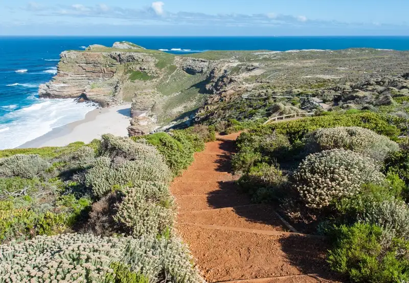 Cape Town - Cape Peninsula tour