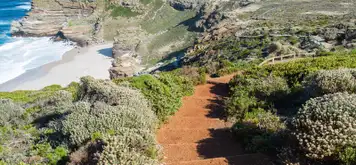 Image related to Cape Town - Cape Peninsula tour