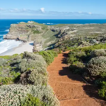 Image related to Cape Town - Cape Peninsula tour