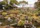 Garden Tour - Nara Yoshikien Garden