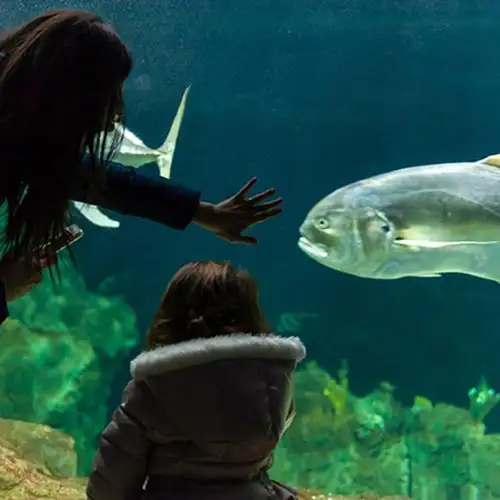 Image related to Livorno Aquarium