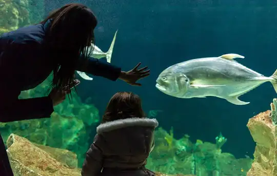 Image related to Livorno Aquarium