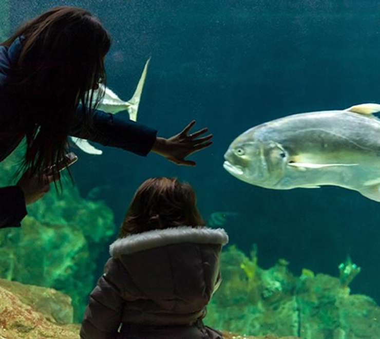 Livorno Aquarium