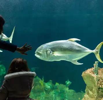 Image related to Livorno Aquarium