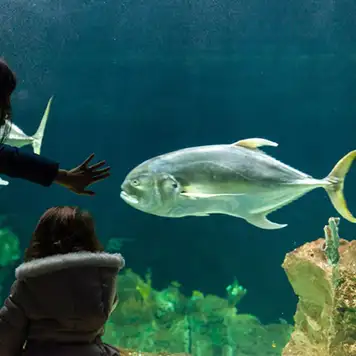 Image related to Livorno Aquarium