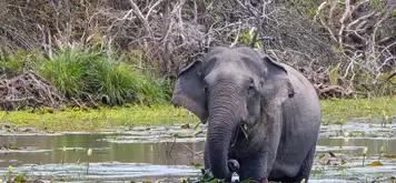 Image related to Image related to National Park