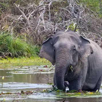 Image related to National Park