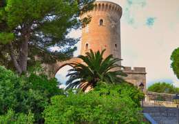 IgluCruise.Application.ViewModels.Shared.WebImageViewModel?.Description