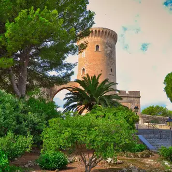 Image related to Castell de Bellver
