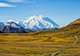 Denali National Park and Preserve