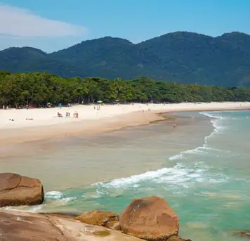Image related to Lopes Mendes