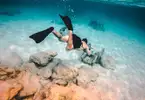Underwater Snorkel Garden (Great Stirrup Cay)