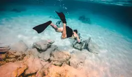 Image related to Underwater Snorkel Garden