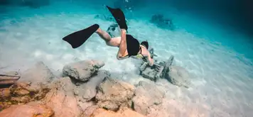 Image related to Underwater Snorkel Garden