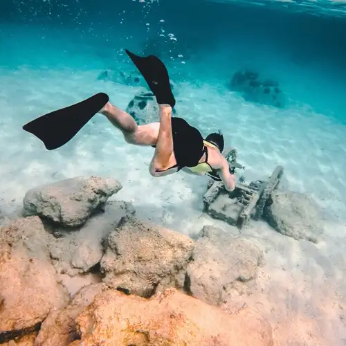 Image related to Underwater Snorkel Garden