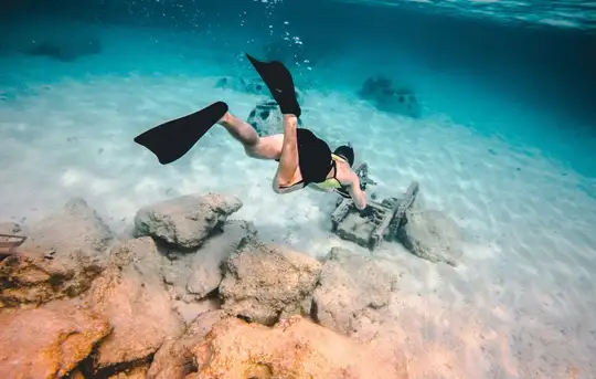 Image related to Underwater Snorkel Garden