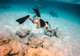 Underwater Snorkel Garden